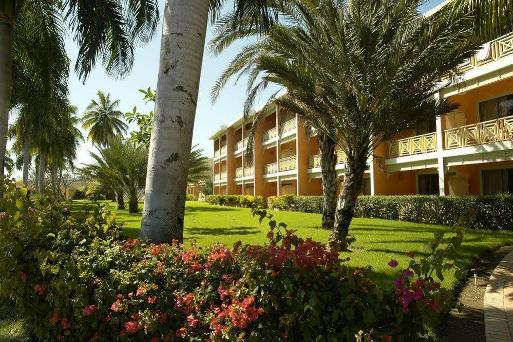Vik Arena Blanca 4* Punta Cana
